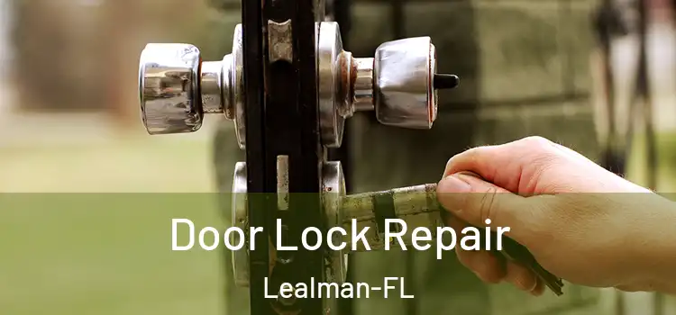  Door Lock Repair Lealman-FL