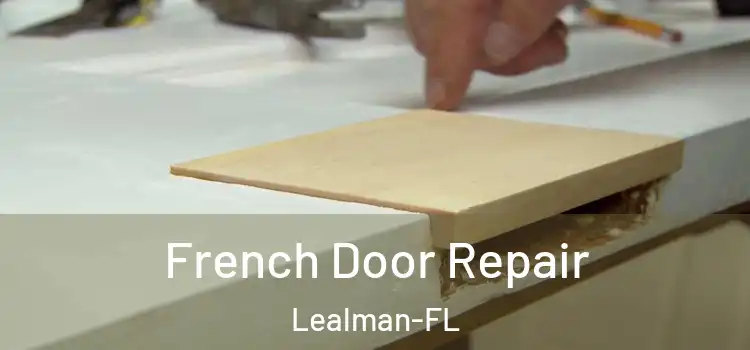  French Door Repair Lealman-FL