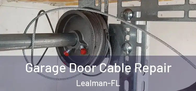  Garage Door Cable Repair Lealman-FL