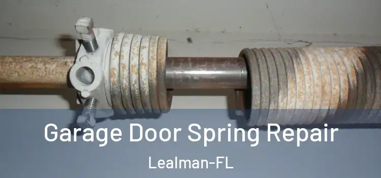  Garage Door Spring Repair Lealman-FL