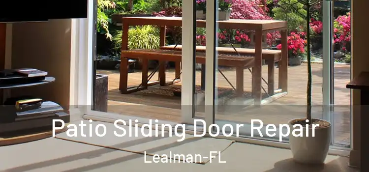  Patio Sliding Door Repair Lealman-FL
