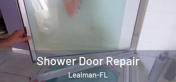  Shower Door Repair Lealman-FL