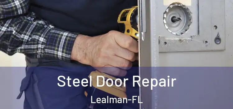  Steel Door Repair Lealman-FL